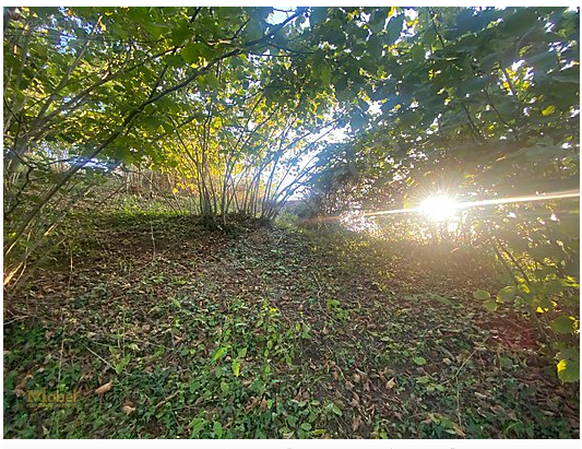 FATSA ILICA KAYAKÖY MAH. YOL ÜZERİ ANA YOLA CEPHE SATILIK ARAZİ